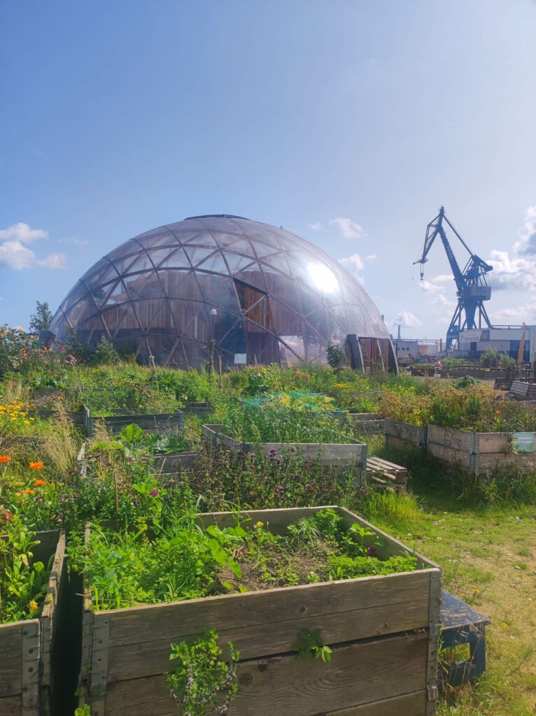 Urbaner Garten mit Hochbeeten, transparenter Kuppel und Kran im Hintergrund unter blauem Himmel.