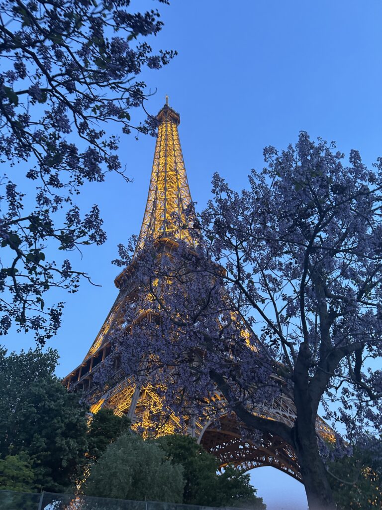 Eiffelturm in Paris am Abend, beleuchtet, eingerahmt von blühenden Bäumen vor blauem Himmel