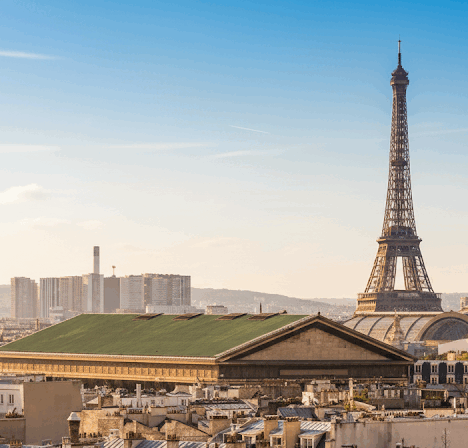 TGV nach Paris: Unsere erste Fahrt mit dem französischen Hochgeschwindigkeitszug