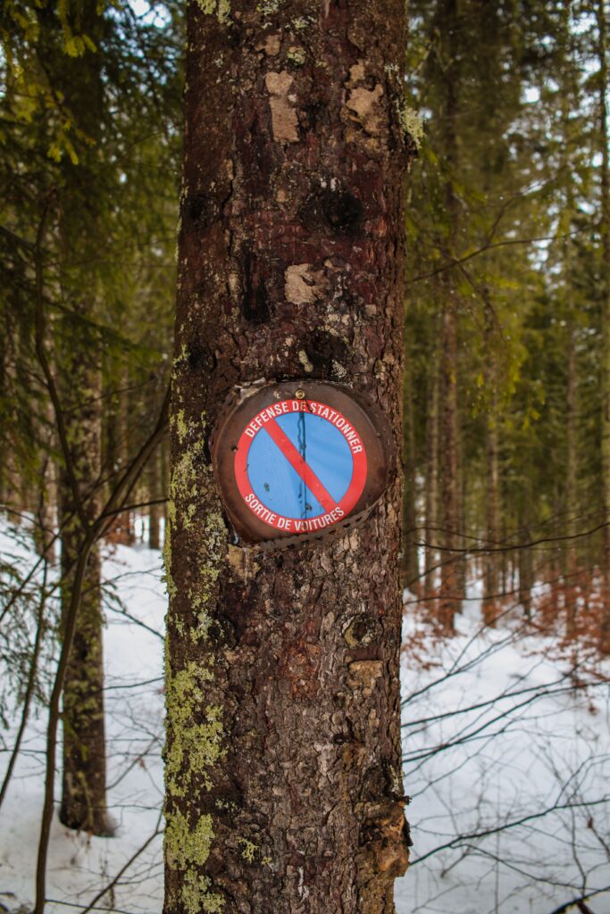 No parking sign on tree trunk in scenic winter forest landscape.